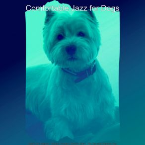 Download track Background For Sweet Dogs Comfortable Jazz For Dogs