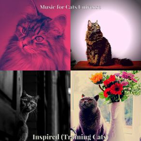 Download track Nice (Relaxing Cats) Music For Cats Universe