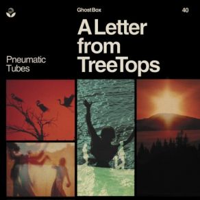 Download track Joyous Lake Pneumatic Tubes