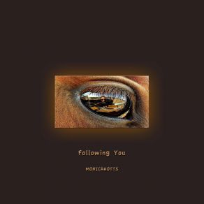 Download track Following You Monicahotts