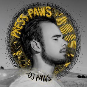 Download track Silent Cries DJ Paws