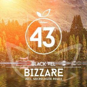 Download track Bizzare (Micrologue Remix) Black Vel