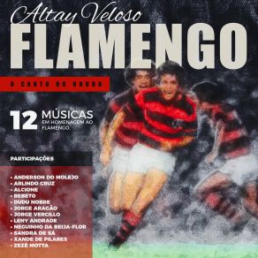 Download track Ninho Do Urubu Altay VelosoNeguinho Da Beija Flor