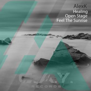 Download track Healing (Original Mix) AlexK