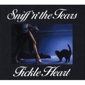 Download track New Lines On Love Sniff 'N' The Tears, Paul Roberts