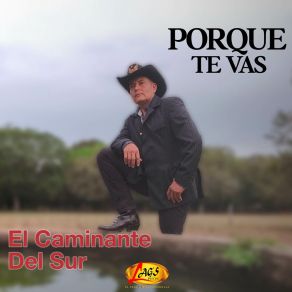 Download track Recuerdo De Mi Madre El Caminante Del Sur