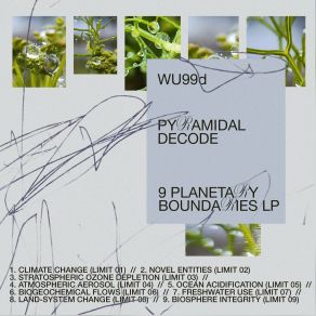 Download track Biogeochemical Flows (Limit 06) Pyramidal Decode