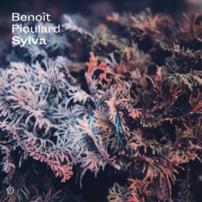 Download track Blight In Cyan Benoît Pioulard