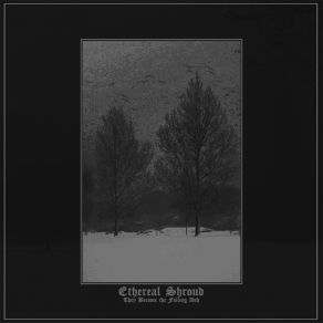 Download track Desperation Hymn Ethereal Shroud