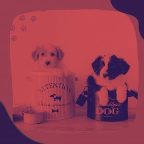 Download track Mind-Blowing Keeping Your Dog Happy Dog Jazz Playlist