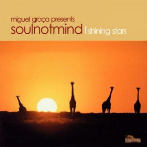 Download track I Found Love Soulnotmind, Miguel GracaSandy Sandman