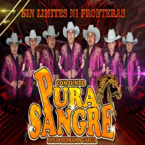 Download track Supiste Hacerme Mal Conjunto Pura Sangre De Los Hermanos García