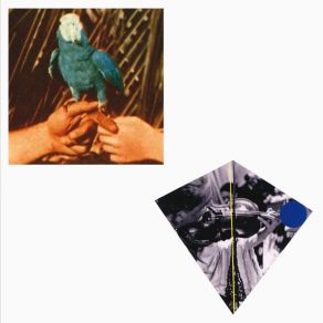 Download track Chemical Switches Andrew Bird