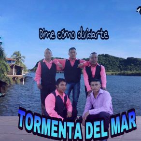 Download track El Chuparrosas (En Vivo) Tormenta Del Mar