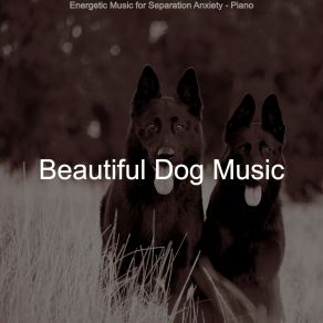 Download track Magical Ambiance For Separation Anxiety Beautiful Dog Music