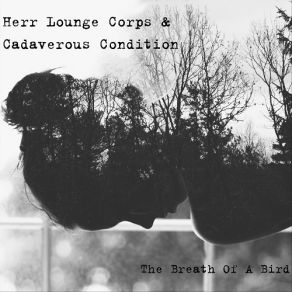 Download track I Am The Knife Cadaverous Condition, Herr Lounge Corps