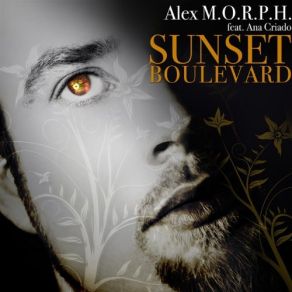 Download track Sunset Boulevard (Original Club Mix) Ana Criado, Alex M. O. R. P. H.