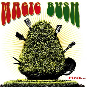 Download track Once In A Lifetime Magic Bush