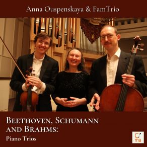 Download track Piano Trio No. 3, Op. 110 II. Ziemlich Langsam - Etwas Bewegter - Tempo I' Anna Ouspenskaya, FamTrio