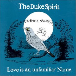 Download track Love Is An Unfamiliar Name The Duke Spirit, Liela Moss