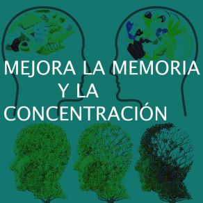 Download track Memoria Concentración