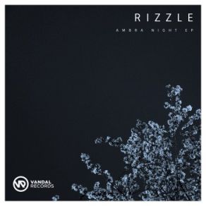 Download track Queen Of Hearts (Original Mix) Rizzle