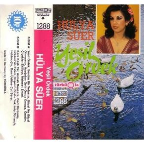 Download track Dam Üstüne Çul Serer Hülya Süer