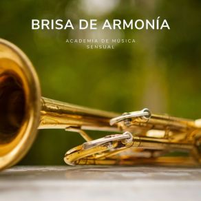 Download track Notas En Serenidad Academia De Música Sensual