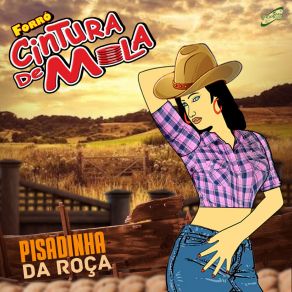 Download track O Cabaré Forró Cintura De Mola