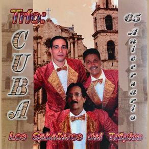 Download track Y Tú, Que Has Hecho? (E. Delfín) Trio CubaDelfin