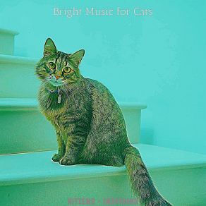 Download track Sleeping Cats - Feelings Bright Music For Cats