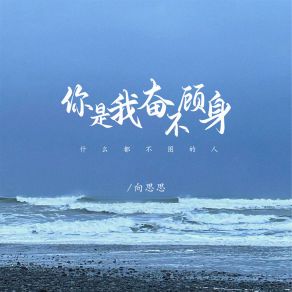 Download track 你是我奋不顾身什么都不图的人 向思思