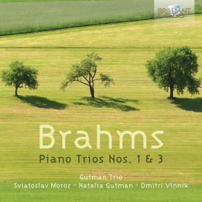 Download track 4. Piano Trio No. 1 In B Major Op. 8 - IV. Allegro Johannes Brahms