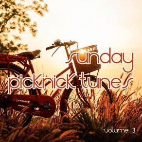 Download track Slave Syncy - Original Mix Sunday Picknick TunesP9