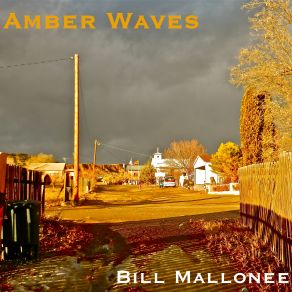 Download track What You Take & What You Leave Behind Bill Mallonee