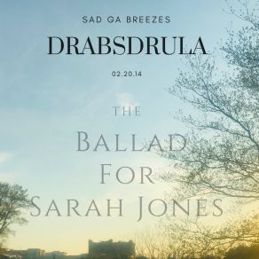 Download track Ballad For Sarah Jones Drabs DrulaDavid Brannen