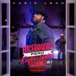 Download track Si Tu Amor No Vuelve Carin Leon