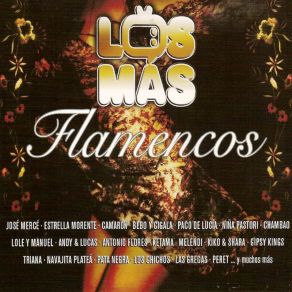 Download track Amor De San Juan Niña Pastori, Vicente Amigo, Jose El Francés