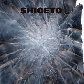 Download track Children At Midnight Shigeto