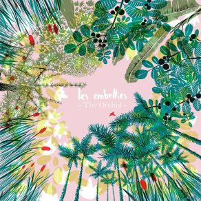 Download track Des Bouteilles À La Mer Orchid