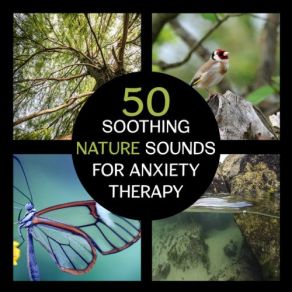 Download track Healthful Relaxation Zen Soothing Sounds Of Nature