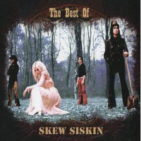 Download track Cheap Trick Skew Siskin