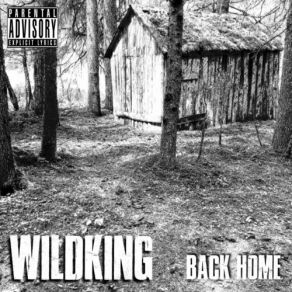 Download track Long Way Back To Home WildKing