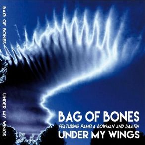 Download track What You'r Doing To Me Bag Of BonesPamela Bowman