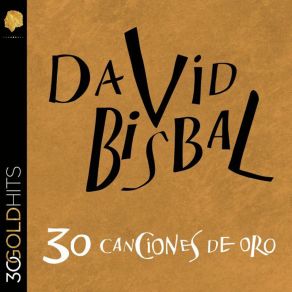 Download track Permitame Señora David Bisbal