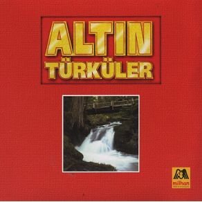 Download track Gel Sevelim Neşet Ertaş