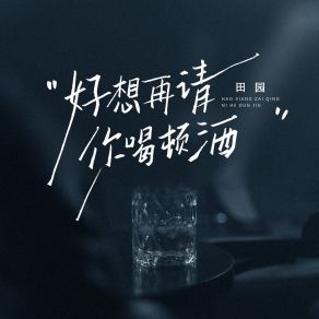 Download track 好想在请你喝顿酒 (扎心版伴奏) Tian Yuan