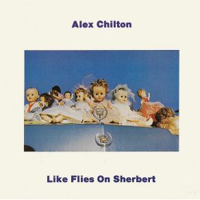 Download track Hook Or Crook Alex Chilton