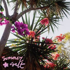 Download track Dew Daydreams Summer Salt