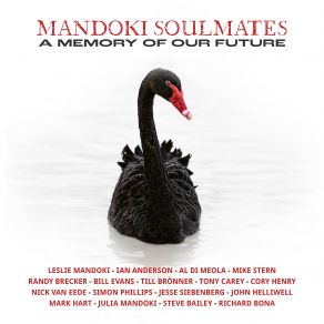 Download track The Wanderer Mandoki Soulmates